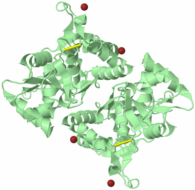 Image Biological Unit 2