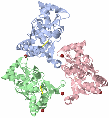 Image Biological Unit 3