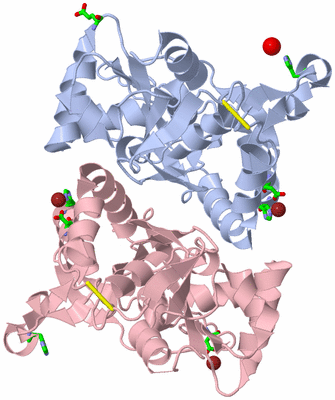 Image Biol. Unit 1 - sites