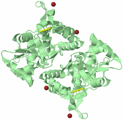 Image Biological Unit 2