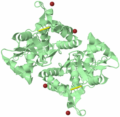 Image Biological Unit 2