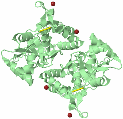 Image Biological Unit 2