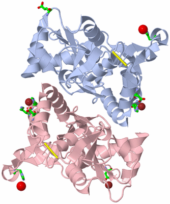 Image Biol. Unit 1 - sites