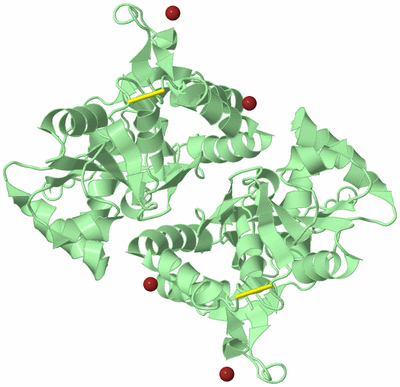 Image Biological Unit 2