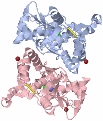 Image Biological Unit 1