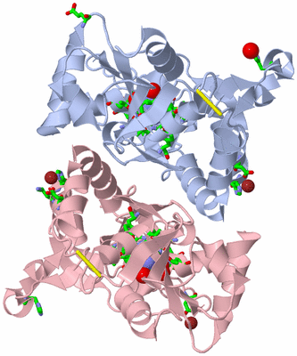 Image Biol. Unit 1 - sites