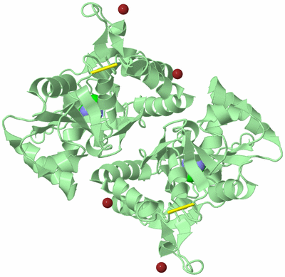 Image Biological Unit 2