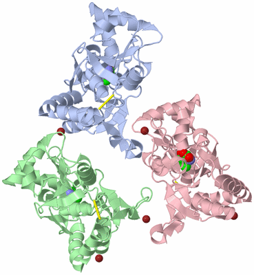 Image Biological Unit 3