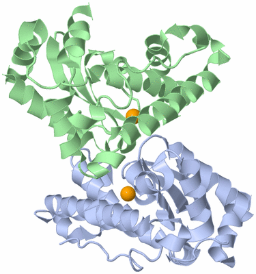 Image Asym./Biol. Unit