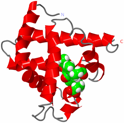 Image NMR Structure - model 1