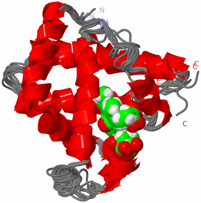 Image NMR Structure - all models