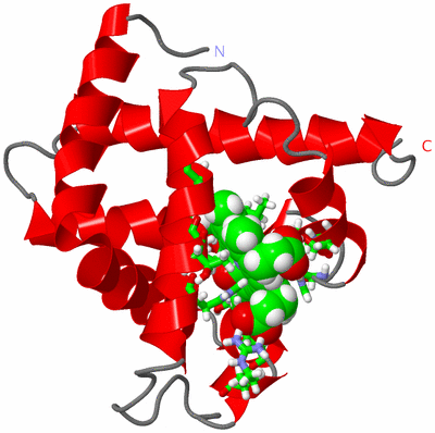 Image NMR Structure - model 1, sites