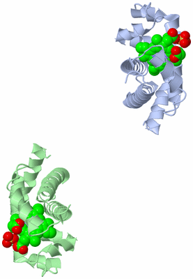 Image Asymmetric Unit