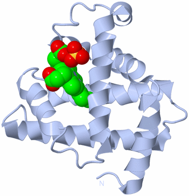 Image Biological Unit 1