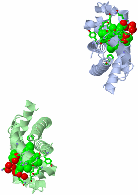 Image Asym. Unit - sites