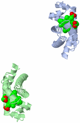 Image Asymmetric Unit