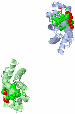Image Asym. Unit - sites