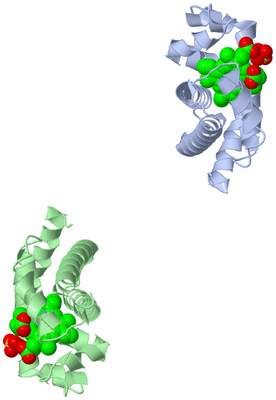 Image Asymmetric Unit