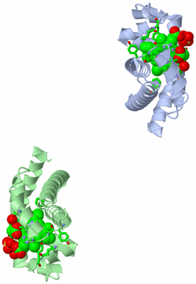 Image Asym. Unit - sites