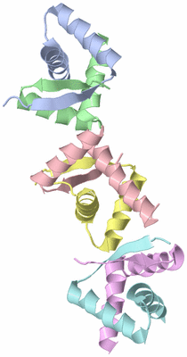 Image Asymmetric Unit
