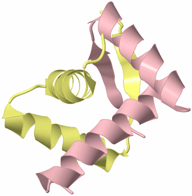 Image Biological Unit 3