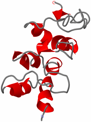 Image NMR Structure - model 1