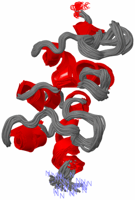 Image NMR Structure - all models