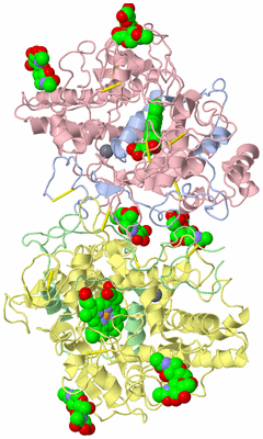 Image Asym./Biol. Unit