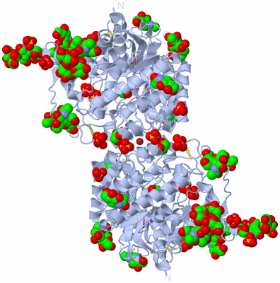 Image Biological Unit 1