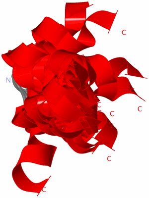 Image NMR Structure - all models