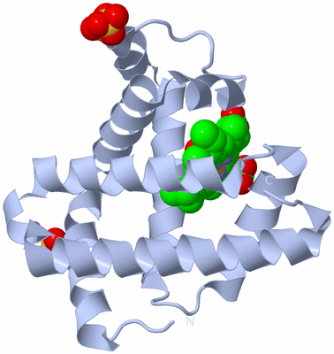 Image Biological Unit 1