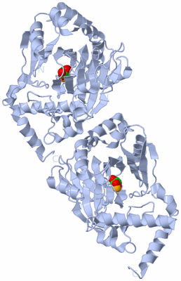 Image Biological Unit 1