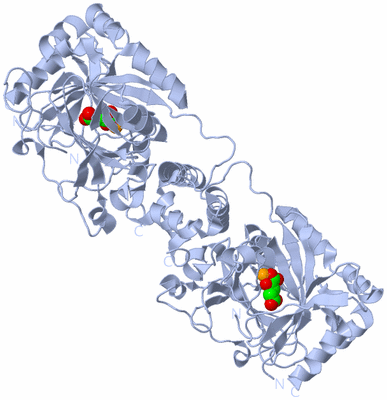 Image Biological Unit 2