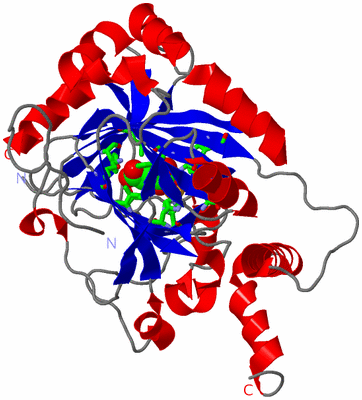 Image Asym. Unit - sites