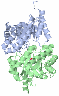 Image Asym./Biol. Unit