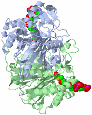 Image Asym./Biol. Unit