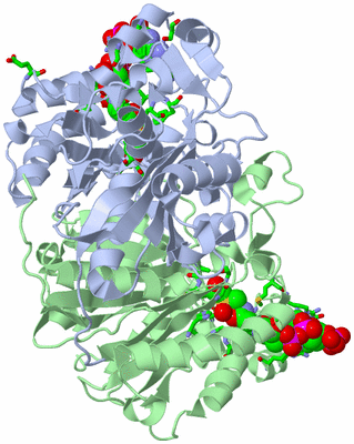 Image Asym./Biol. Unit - sites