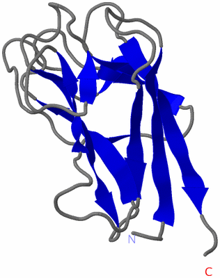 Image NMR Structure - model 1