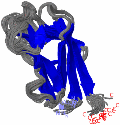 Image NMR Structure - all models