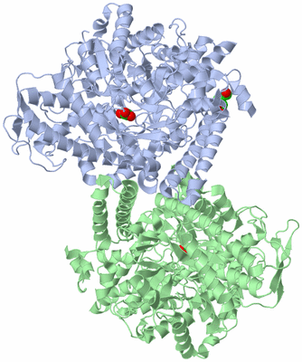 Image Asym./Biol. Unit