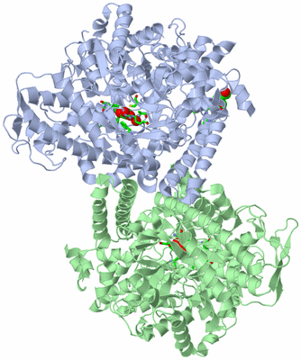 Image Asym./Biol. Unit - sites