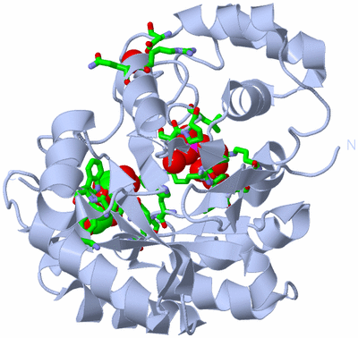 Image Biol. Unit 1 - sites