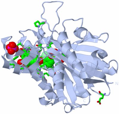 Image Biol. Unit 1 - sites