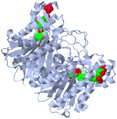 Image Biological Unit 2