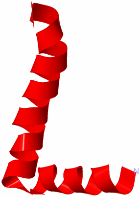 Image Asymmetric Unit