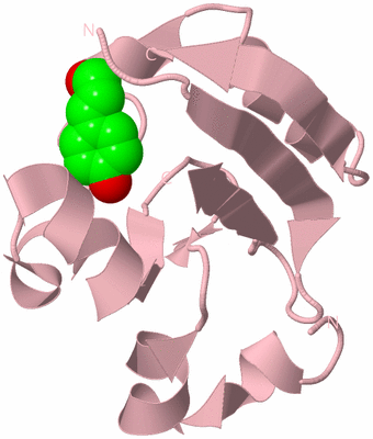 Image Biological Unit 3