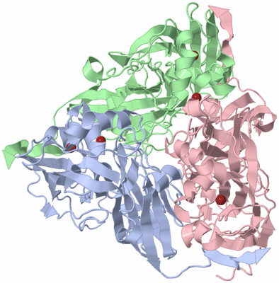 Image Asym./Biol. Unit