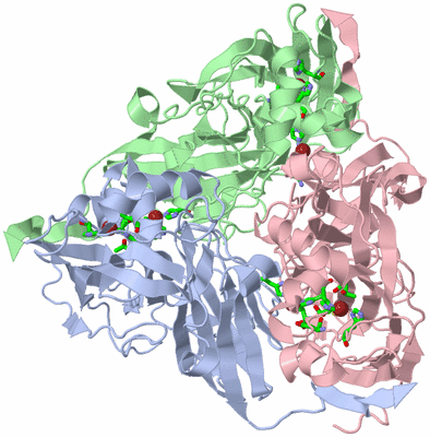 Image Asym./Biol. Unit - sites