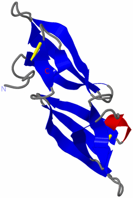 Image NMR Structure - model 1