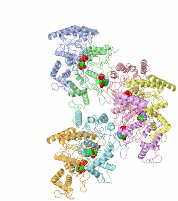 Image Asym./Biol. Unit